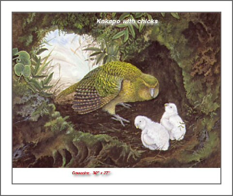 kakapo_w_chicks.jpg