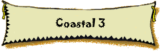 Coastal 3