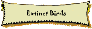 Extinct Birds