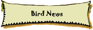 Bird News