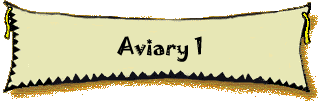 Aviary 1
