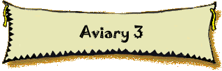 Aviary 3