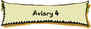 Aviary 4