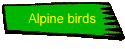 Alpine birds