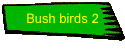 Bush birds 2