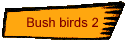 Bush birds 2