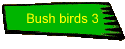 Bush birds 3