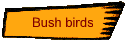 Bush birds