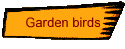 Garden birds