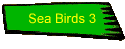Sea Birds 3