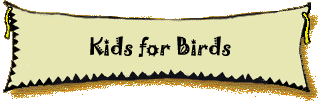 Kids for Birds