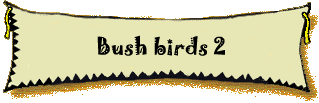 Bush birds 2